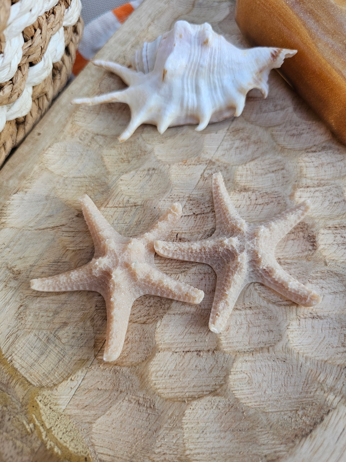 ÉTOILE DE MER | coral