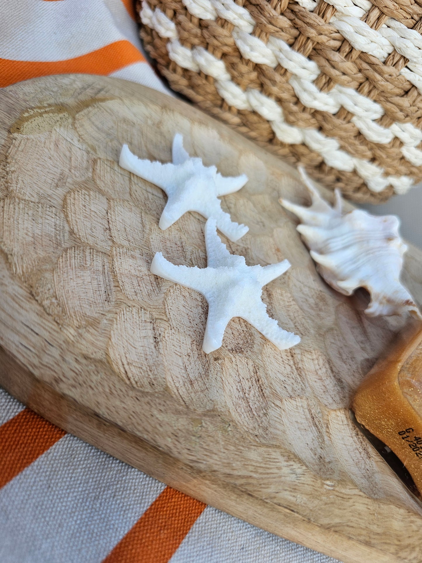 ÉTOILE DE MER | coco