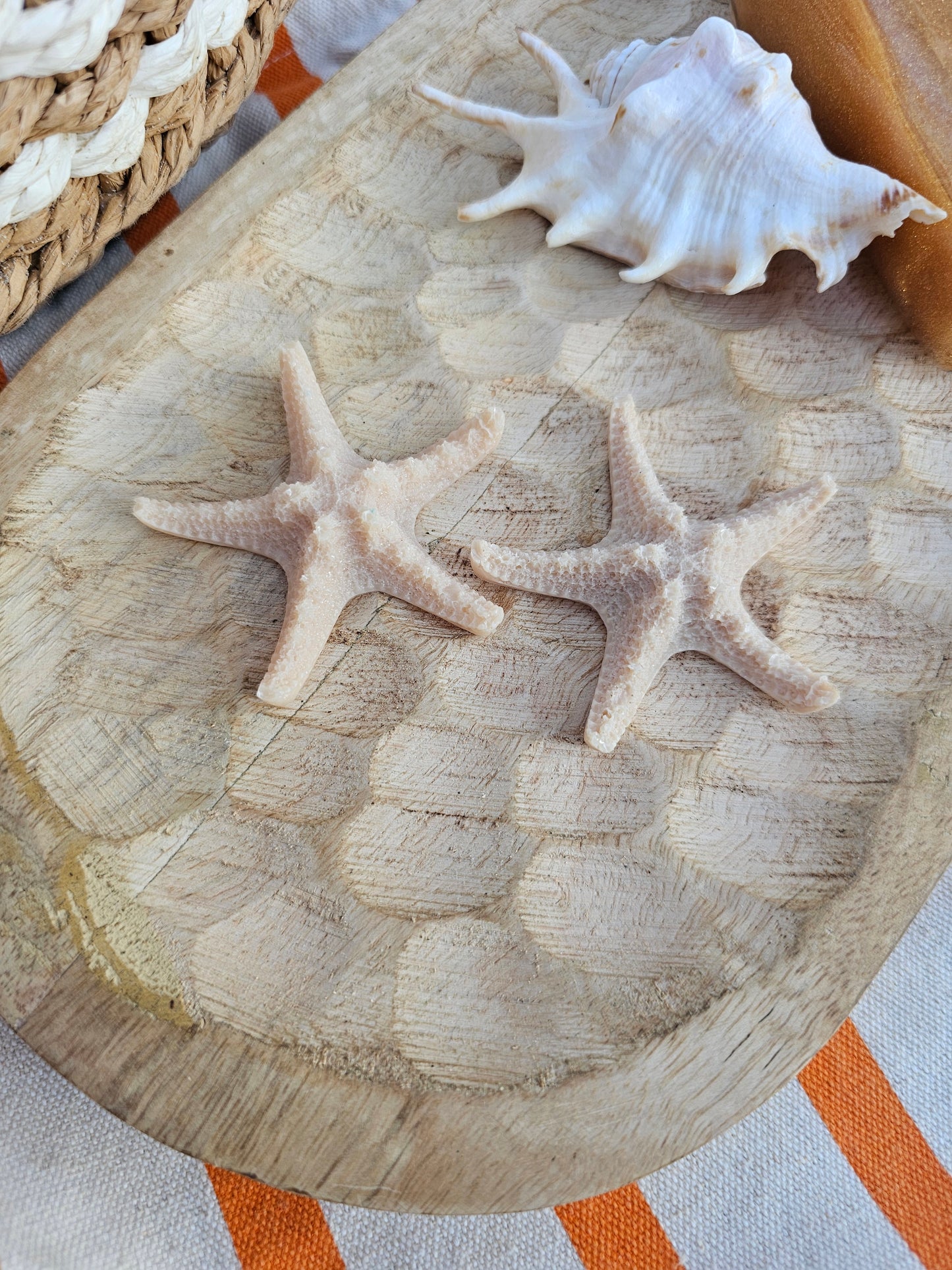 ÉTOILE DE MER | coral