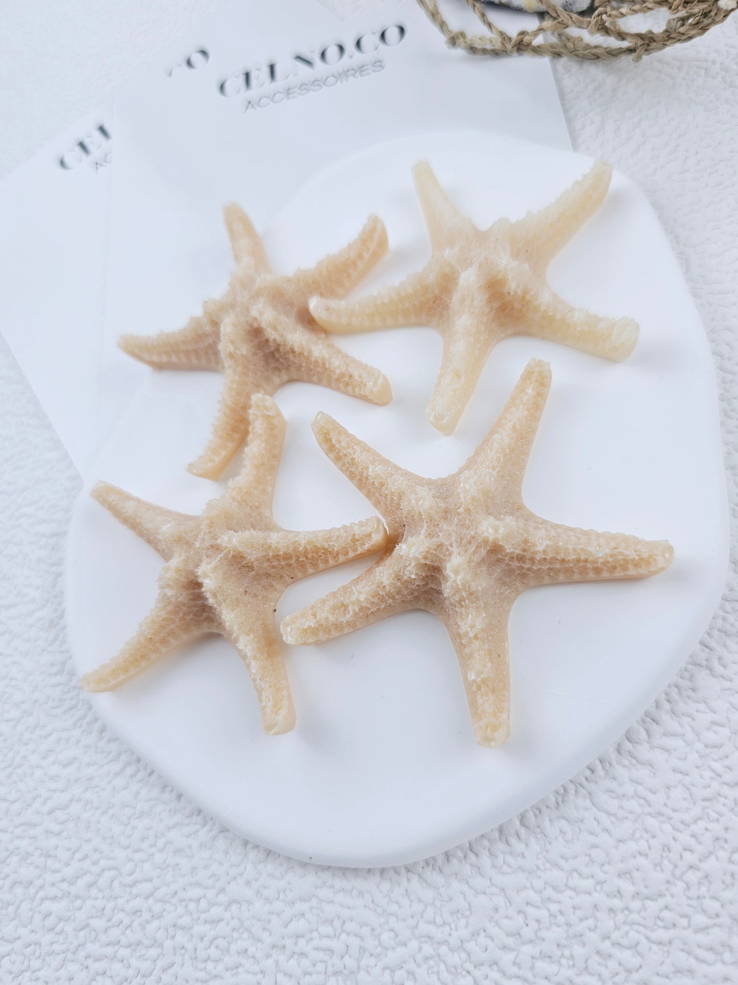 ÉTOILE DE MER | coral