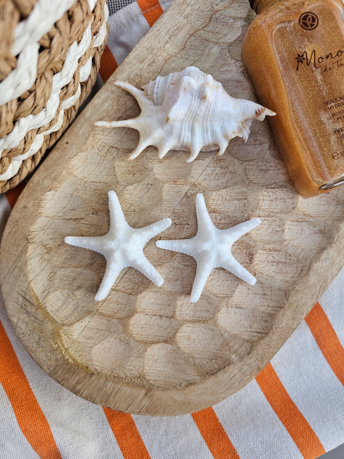 ÉTOILE DE MER | coco