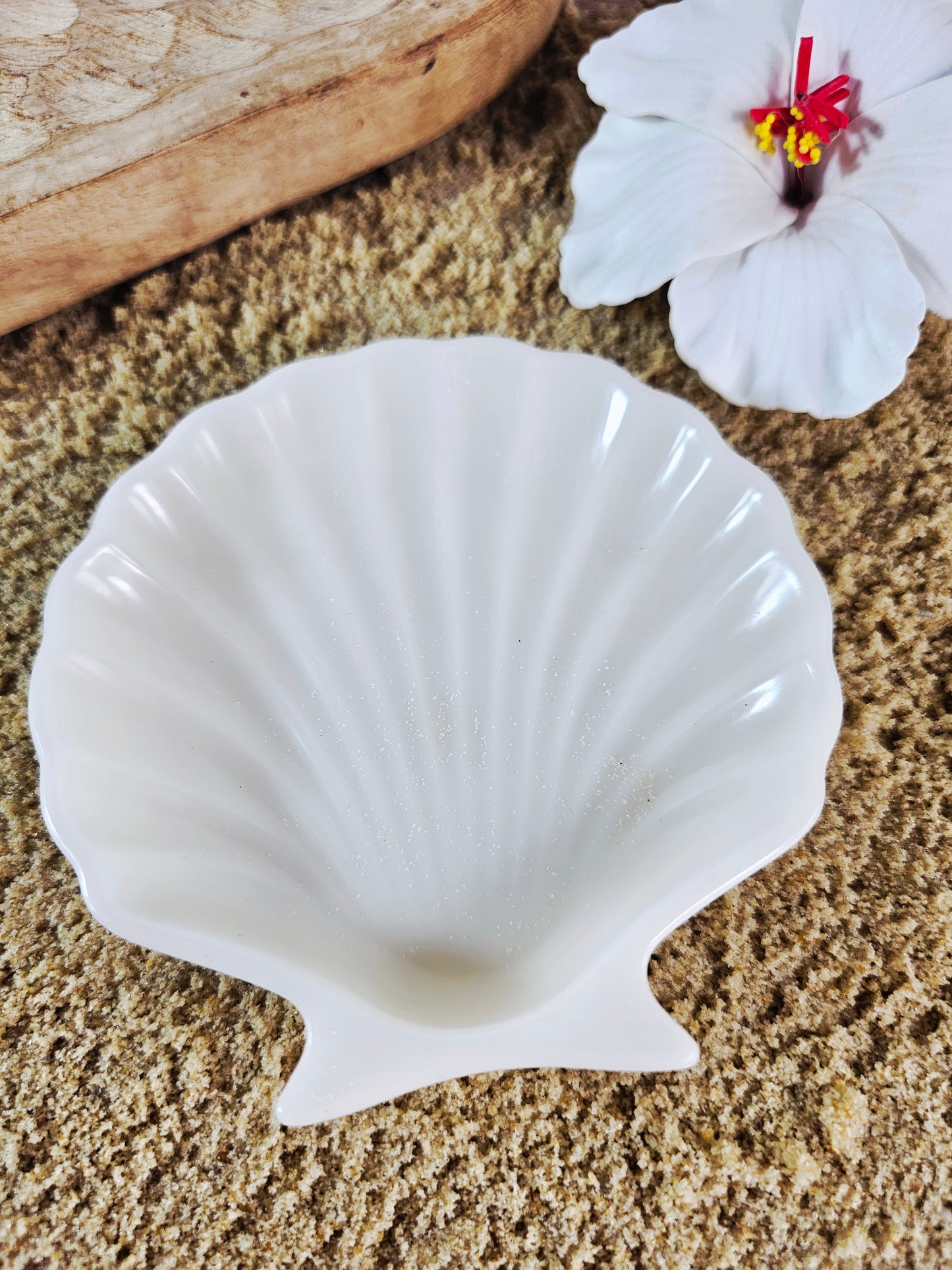 VIDE POCHE | coquillage blanc