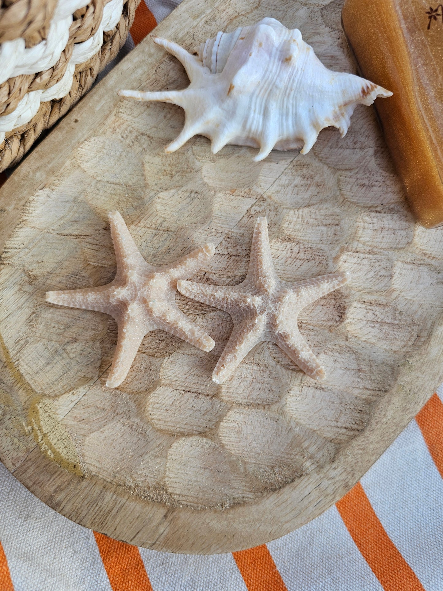 ÉTOILE DE MER | coral
