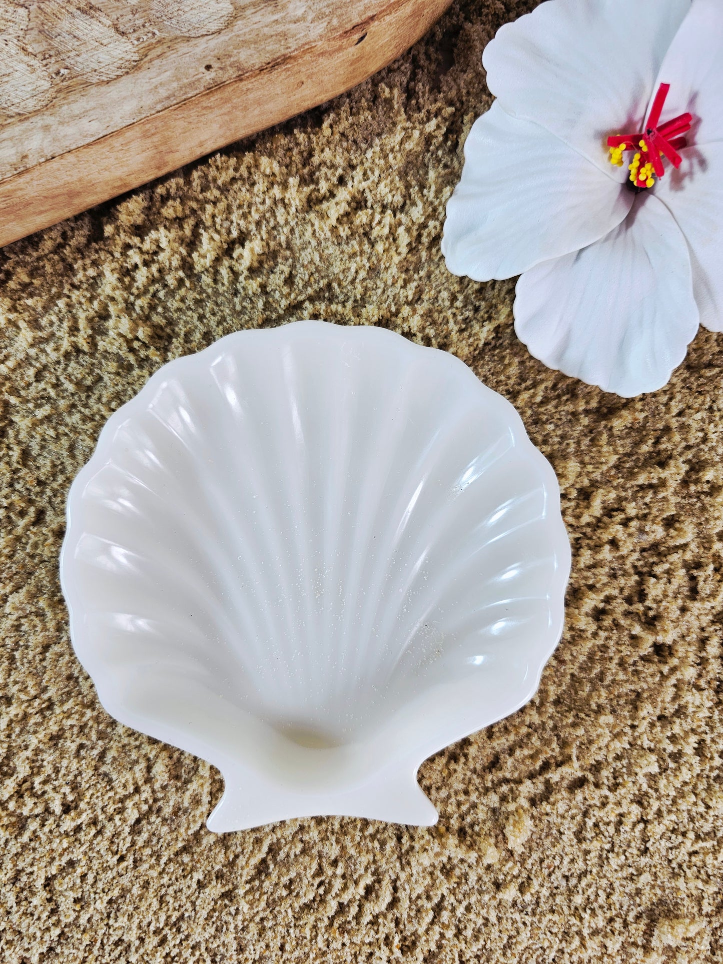 VIDE POCHE | coquillage blanc