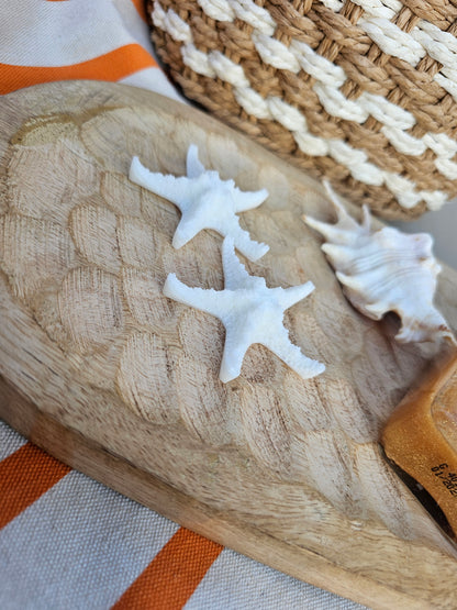 ÉTOILE DE MER | coco