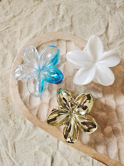 PINCE | fleur eau