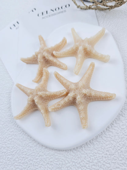 ÉTOILE DE MER | coral