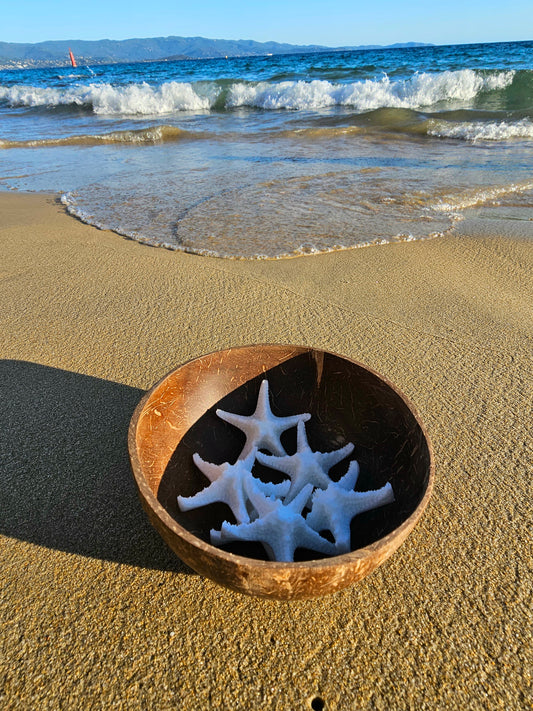ÉTOILE DE MER | coco
