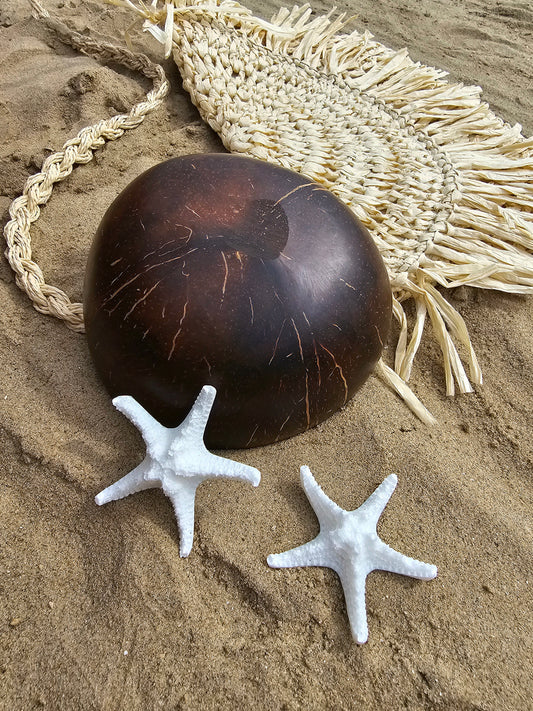 ÉTOILE DE MER | coco