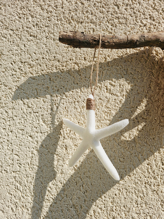 Étoile de mer (à suspendre)