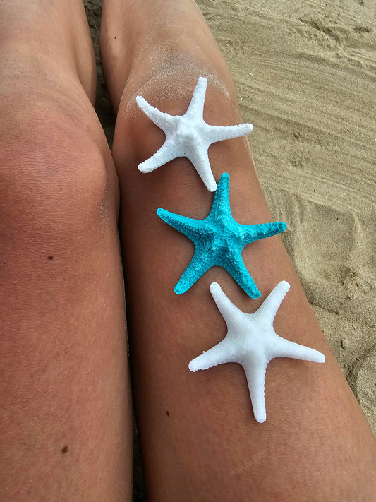 ÉTOILE DE MER | pacific